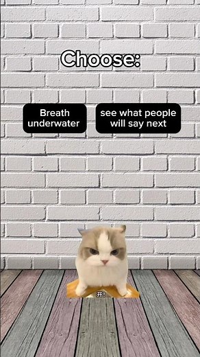 Choosing a superpower #catmemes #relatable #shorts