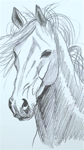 How to Draw a Horse Easily ✨Tutorial✨ #drawing #art #sketch