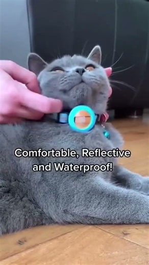 Electric Spray Cat Hair Brush | 3 In 1 Pet Grooming Comb #petvideos