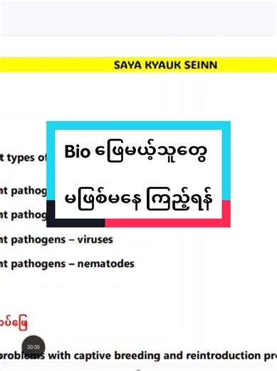 Understanding G12 Bio: Must-Watch Insights