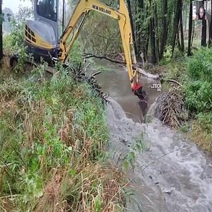 Flooded Forest Through The Excess Water In The Beaver Dam | Khu