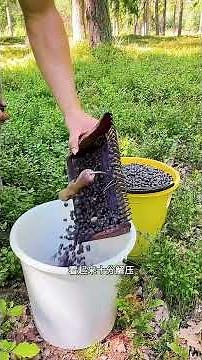 一起認識五種作業冷知識！ #內容啟發搜索 437987