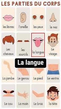 👉 Apprendre le vocabulaire du corps humain en français 🇫🇷 | Les parties du corps pour débutants