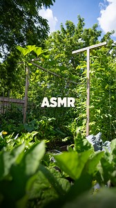 Listen and keep calm #ASMR #gardenharvest #calming | Plantedinthegarden