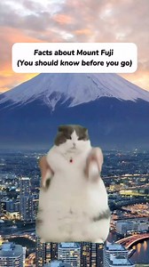 Facts about Mount Fuji, You should know before you go #fyp #viral2024 #facts #original #mountfuji #simplistatedhistory | Simply Stated History