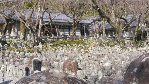 Slow motion landscape of thousands of mossy stone statues at the burial site landmark grounds of Adashino Nenbutsuji Temple shrine traditional gardens in Ukyo Ward Kyoto Japan Asia tourism and travel