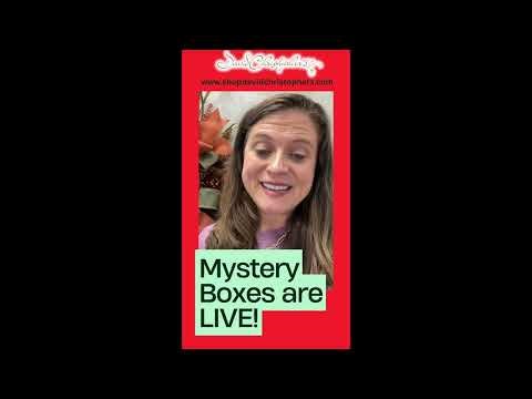 Christmas Mystery Boxes are LIVE for 2025!