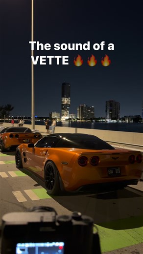 Incredible automotive experience ! Gotta love a duo like this #corvette #v8 #enginesound | Driven By Alex