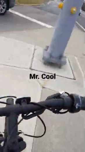 Wow! Wow! Wubbzy! - Mr. Cool