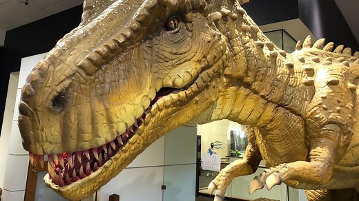 Take a peek at new animatronic dinosaur exhibit at the Rochester Museum and Science Center