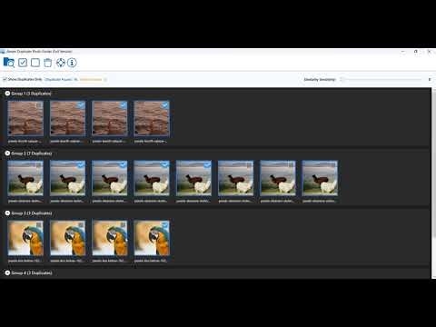 How to Find and Delete Duplicate Photos on Windows 11 | Duplicate Photo Finder