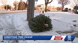 Milwaukee residents begin taking down Christmas decorations as tree collection resumes