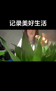 记录生活的美好 - 抖音搜索