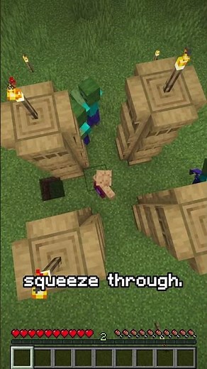 How Shelves Can Save You From Mobs in Minecraft! [NEW UPDATE]