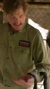 Texas zoo earns national TV spotlight after saving trafficked spider monkeys