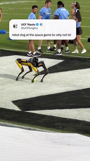 Innovation at its finest 🤖 (via UCFKnights/X) #robot #dog #ucf #collegefootball