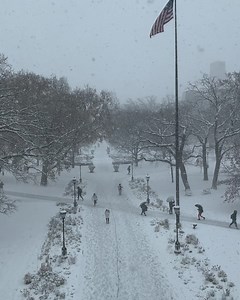 13K views · 169 reactions | The University of Chicago on Reels | Facebook