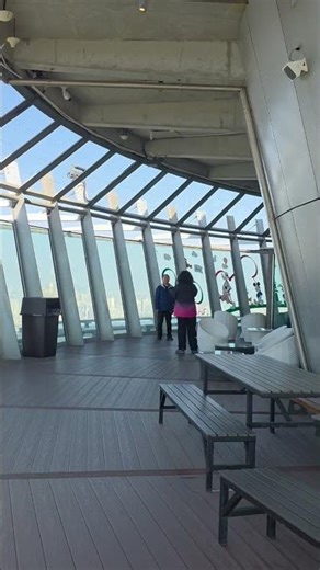 We Visited The World's Highest Bungy Jump at Macau Tower