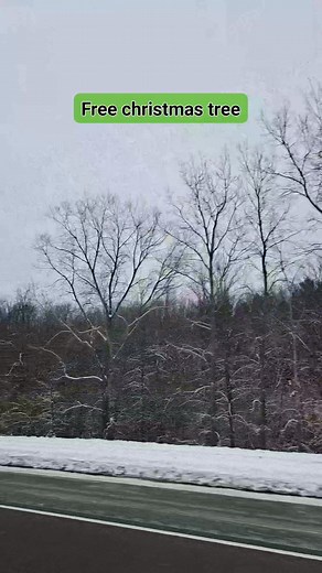 White Christmas everywhere #canadalife | Gaudiosa Zafe