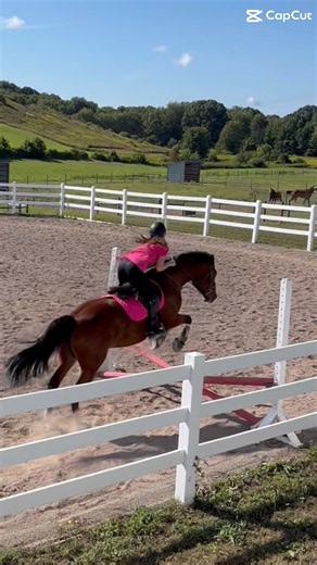 PINK🎀🩷 #horse #fypシ゚viral #equestrian #trending