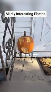 194K views · 3.2K reactions | Mildly Interesting Photos! | Ｌｏａｄｉｎｇ ．．． | Facebook