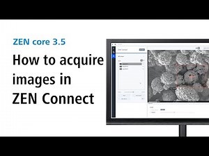ZEISS ZEN core | How to acquire images in ZEN Connect