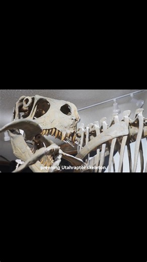 Hi! I'm Matthew Mossbrucker, director and curator at Morrison Natural History Museum. I am taking over the social media from the crew this week for our non-profit foundation's only fundraiser this year. You can help support our museum's exhibit enrichment project by donating to our foundation fund now through Colorado Gives Day. Volunteers manage our foundation and are committed to fostering the growth and success of the museum. Your donation will help renovate our 'Cretaceous Colorado' and 'Jur