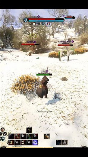 Ashes of Creation Rogue PvP - 1v2 as a Low Level, Open World #ashesofcreation #mmorpg #pvp