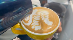 This is how I make flat white | Barista Ali