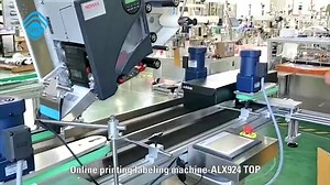 602 reactions · 26 shares | Online printing labeling machine SKILT online printing and #labeling system, use German Avery 924 online printing engine, combine online printing and automatic labeling technology together. → www.skiltpack.com | SKILT Labeling Machine | Facebook