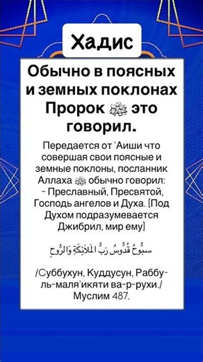Обычно в поясных и земных поклонах Пророк ﷺ это говорил.