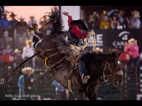 Logan Hay World Record Bronc Ride! (95.5 pts)