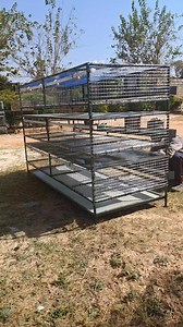 300 chicken chicks brooding cages for only K4950. 0979107759,0971148151 #zambianseverywhere #poultryequipment #poultryfarmingtips #PoultrySolutions | Lilayi Import and Agro Consultants