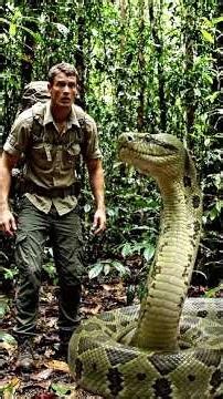 World’s Largest Anaconda Compared to Human 🐍😱