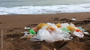 Environmental Crisis: Non-Biodegradable Plastic Waste Washed Ashore and Its Impact on Ecosystems