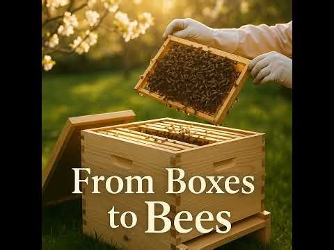 From Boxes to Bees: Building a Hive and Starting Beekeeping