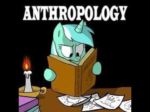 Anthropology (lyra's song) lyrics