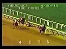Ruffian - 1975 Comely Stakes