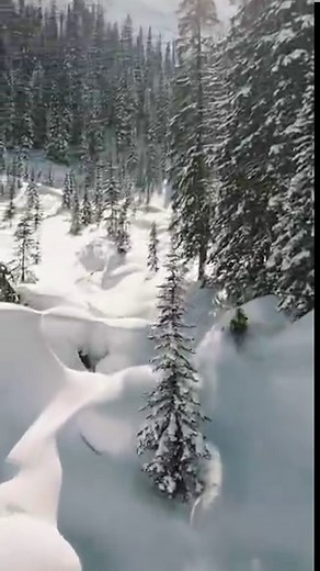 Dream zone. ❄️ Via @fullspeedrentals #snowest #snowmobile #snowmobiling #snowmobiles #revelstoke #winter #skidoo #polaris #arcticcat #lynxsnowmobiles #yamahasnowmobiles | SnoWest Magazine