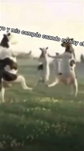 yo y mi compás cuando no hay clases