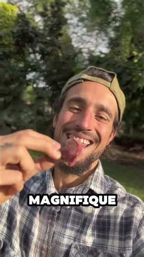 Les 5 fruits les plus incroyables qui poussent dans mon jardin ! 🍍😱