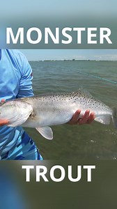 Mogan Trout | Addictive Fishing
