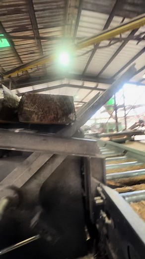 Transforming Logs into Timbers: A Sawmill Journey