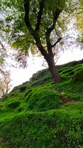 Scenery view of Halla Maligam ❤🌲 | Nature Beauties