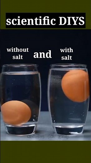 new science experiment|| salt water and normal wate experiment 🧪 diy to at home scientific