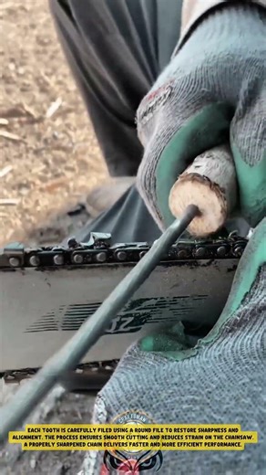Sharpening chainsaw chain using round file to restore cutting performance.