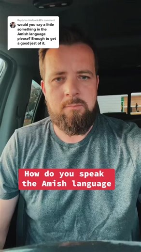 The Amish speak a German slang. It is kind of a made-up language that they call Pennsylvania Dutch but it’s not an actual Dutch like the Netherlands. #amish #amishtiktok #amishlanguage #pennsylvaniadutch #foryoupage #fypage