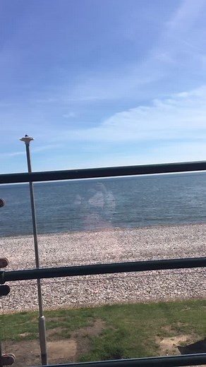 Lauren Butler (@laurenbutler968)’s videos with original sound - Lauren Butler