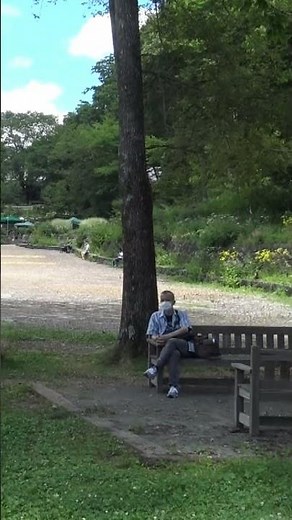 真夏の清里高原「萌木の村」 森に囲まれた中央広場を歩く