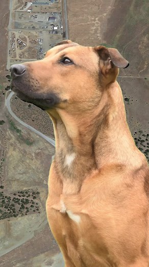 7.4K views · 473 reactions | 헳헿헼헺 혁헵헲 혀헵헲헹혁헲헿 | 혁헼 혁헵헲 헿헲혀헰혂헲 — 헖헵헶헿헽...